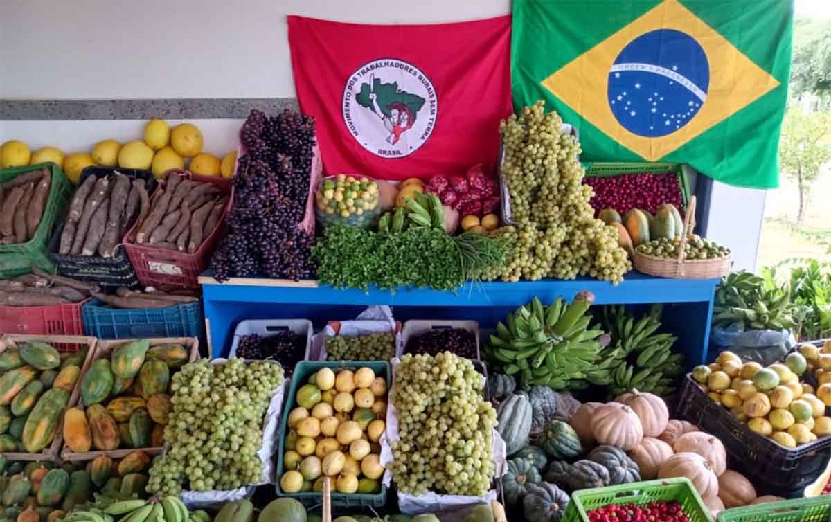 MST finca raízes na produção agroecológica e projeta crescimento de vendas para 2022 - Sindicato dos Trabalhadores e Trabalhadoras do Ramo Financeiro do Estado do Pará