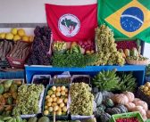MST aposta na agroecologia massificada como solução para o Brasil