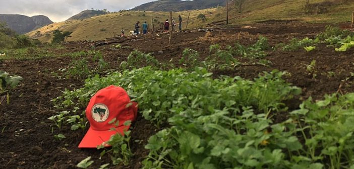 No Abril Vermelho, jornada do MST reforça importância da reforma agrária para o combate à fome