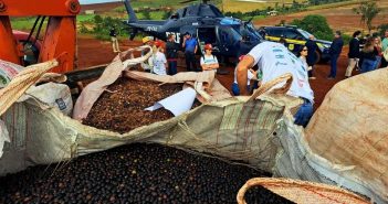 MST lança 4 mil quilos de sementes da palmeira juçara com helicóptero da PRF
