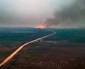 Com menor nível de alertas de desmatamento na Amazônia, ambientalistas defendem fiscalização via satélite e alertam para retrocessos no Congresso