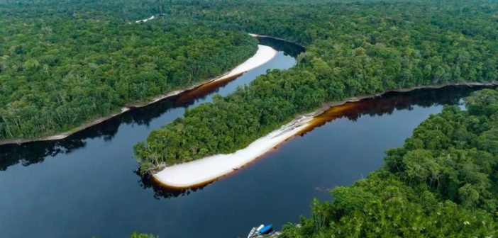 Com foco na COP30, Brasil anuncia iniciativa global de combate à desinformação sobre mudanças climáticas