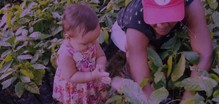 Hoje assentada, sobrevivente relembra massacre de Eldorado do Carajás: ‘Pista ficou coberta de sangue’
