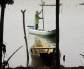 Mobilização nacional de pescadores protesta contra PL da Devastação: ‘Sem território não tem vida’