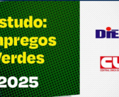 CUT e Dieese apontam precarização e informalidade nos empregos verdes no Brasil
