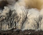 Risco de retrocesso: Congresso ameaça derrubar vetos de Lula ao PL da Devastação