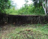 Legado indígena contra o mito colonial: arqueologia confirma Amazônia manejada há milênios e grandes cidades integradas à natureza