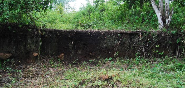 Legado indígena contra o mito colonial: arqueologia confirma Amazônia manejada há milênios e grandes cidades integradas à natureza