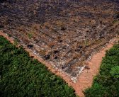 Gigantes do agronegócio abandonam a Moratória da Soja e ampliam risco de desmatamento na Amazônia