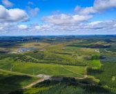 Com 66 bilhões de árvores plantadas, China lidera luta mundial contra desertificação