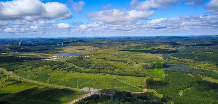 Com 66 bilhões de árvores plantadas, China lidera luta mundial contra desertificação